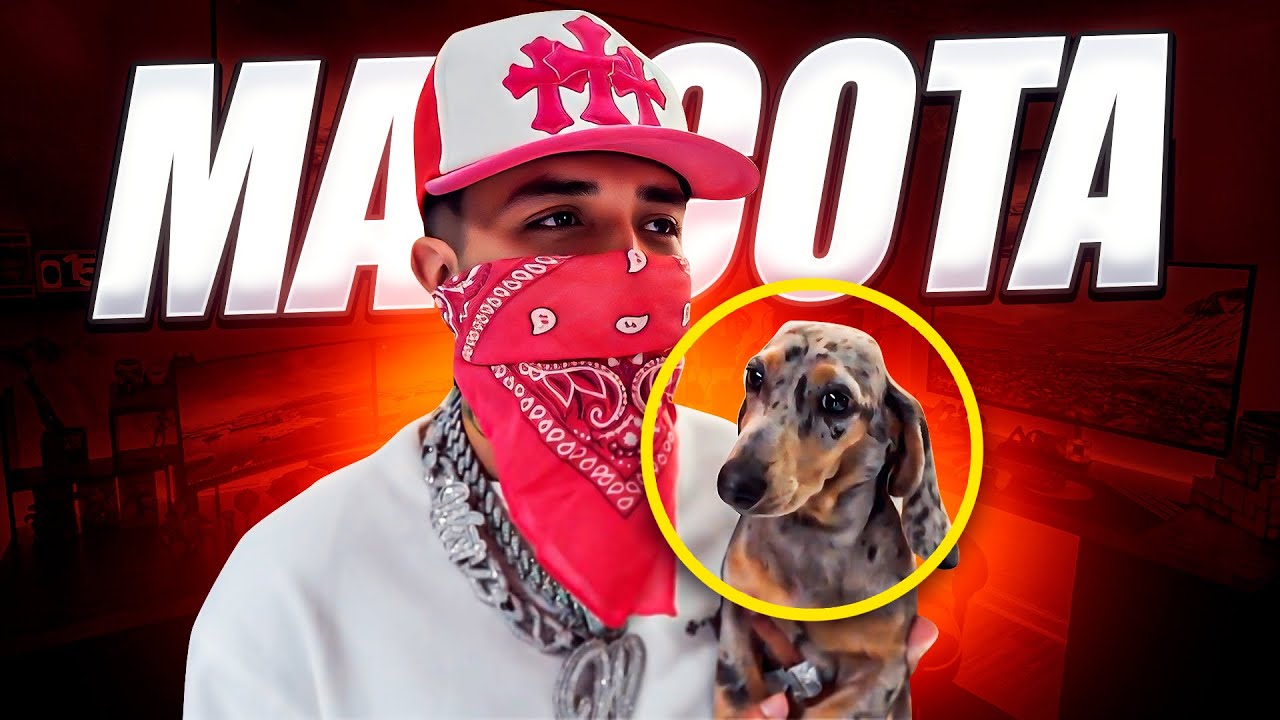 MI NUEVA MASCOTA | WESTCOL 