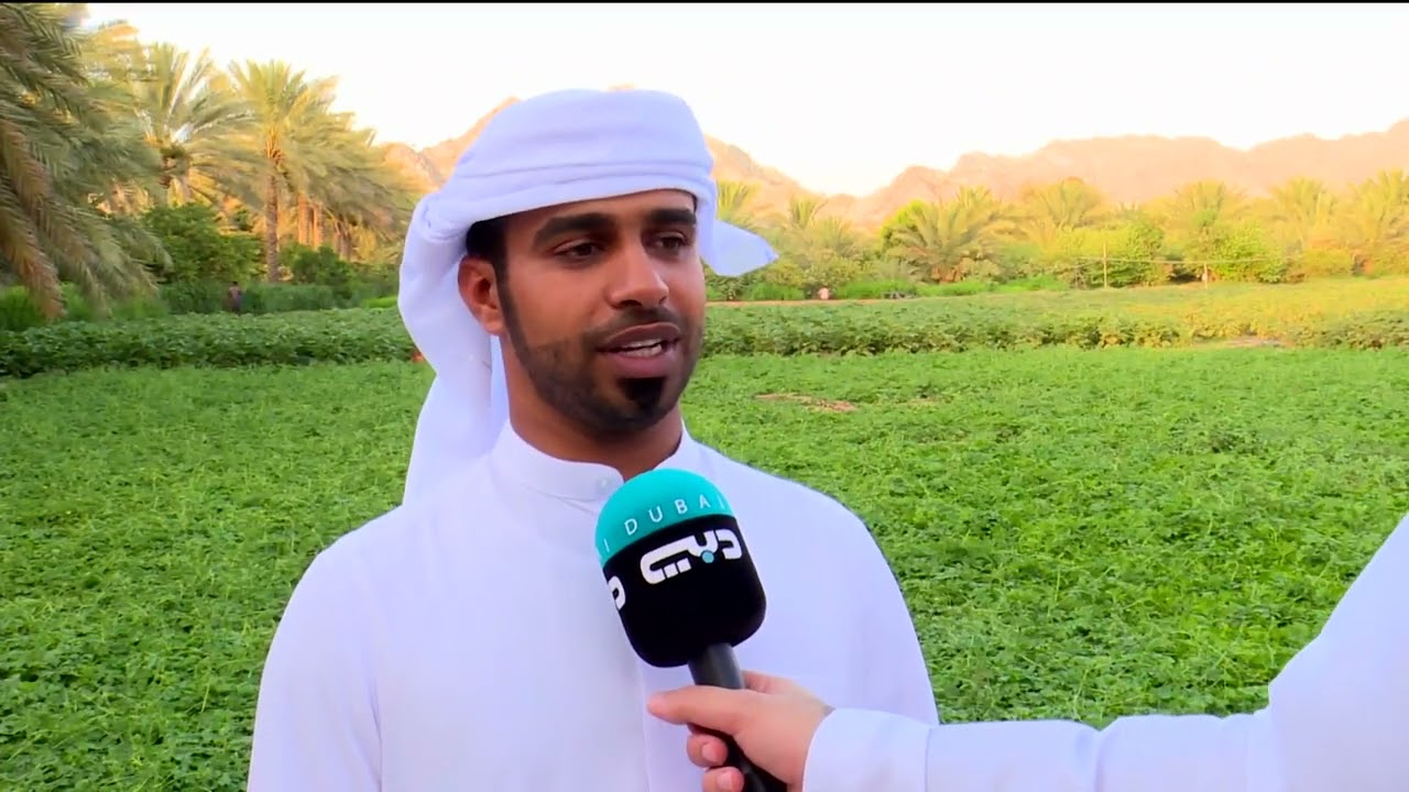 أخبار الإمارات | إماراتي ينجح في إنتاج العنب في رأس الخيمة دون عناية خاصة أو بيوت بلاستيكية