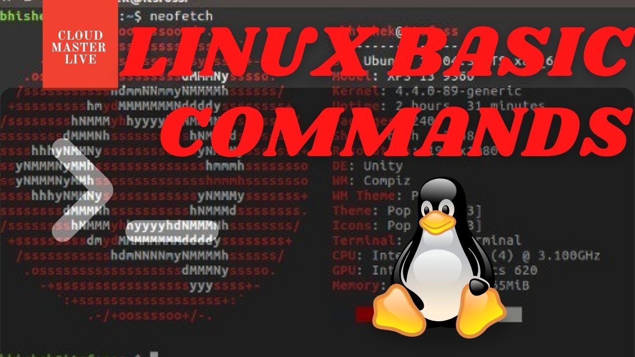 Linux Commands (Basics) For Beginners Tutorial - Hindi - Urdu