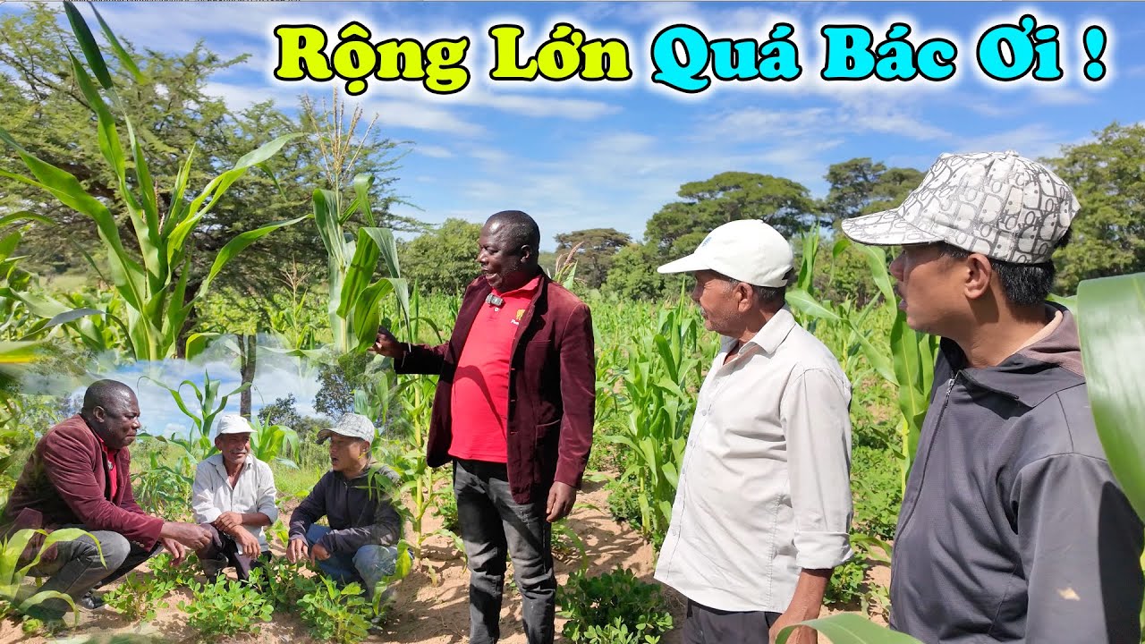 Công Giáp || Bác Trưởng CA Huyện Không Tin Vào Mắt Mình Khi Vào Thăm Trang Trại Của Bác Nam !!!