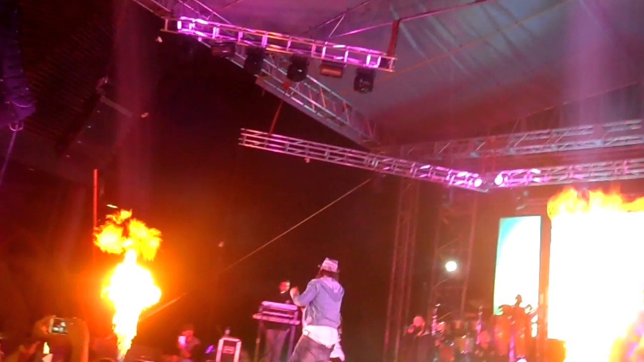 Dalmata - dile a tu amiga (en vivo, magicnight4, orquideorama)