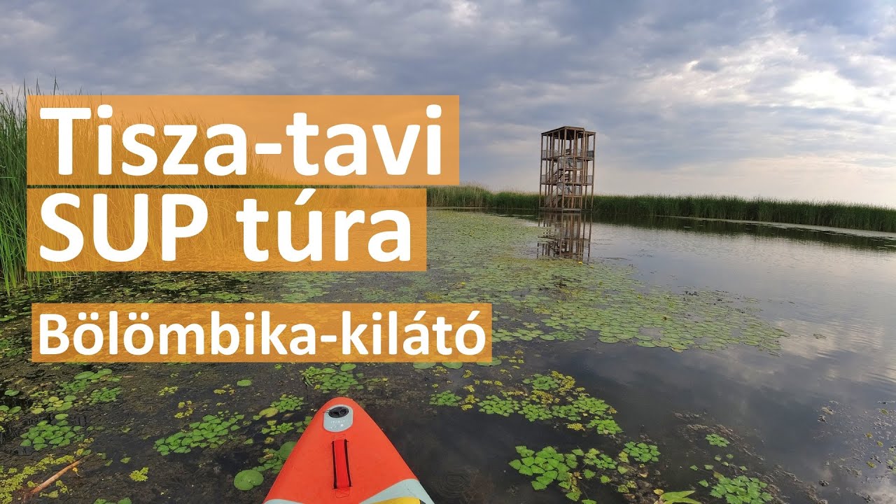 Bölömbika-kilátó (Tisza-tó) - SUP túra