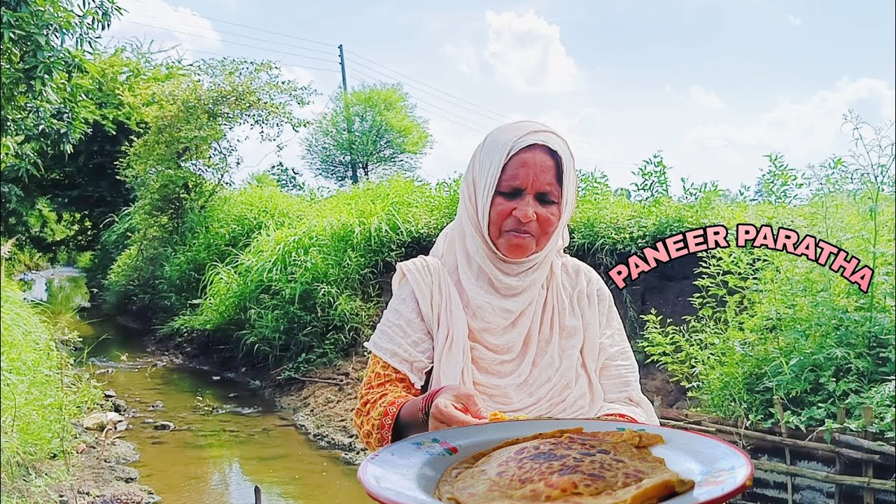 Delicious Paneer Paratha Recipe & Nature's Serenity | Breathtaking Greenery, Birds, and Waterfalls |