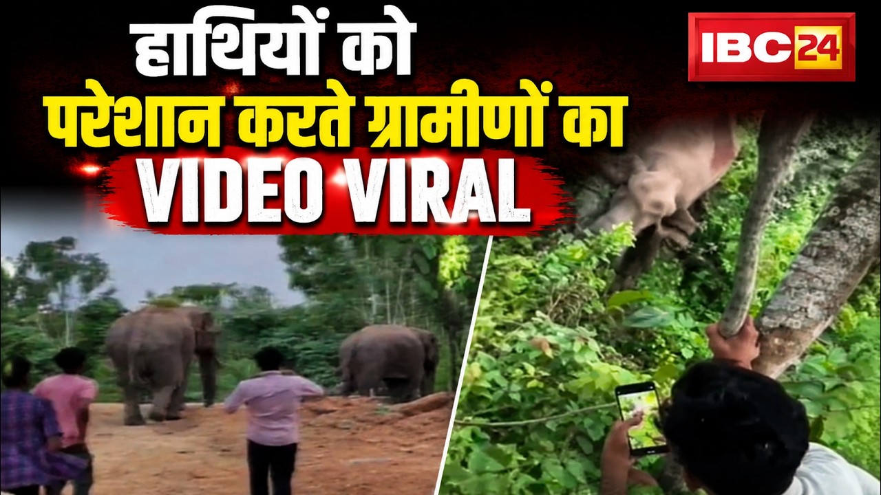 Pendra Elephant Viral Video: हाथियों को परेशान करते दिखे ग्रामीण। वन विभाग की निगरानी पर उठे सवाल