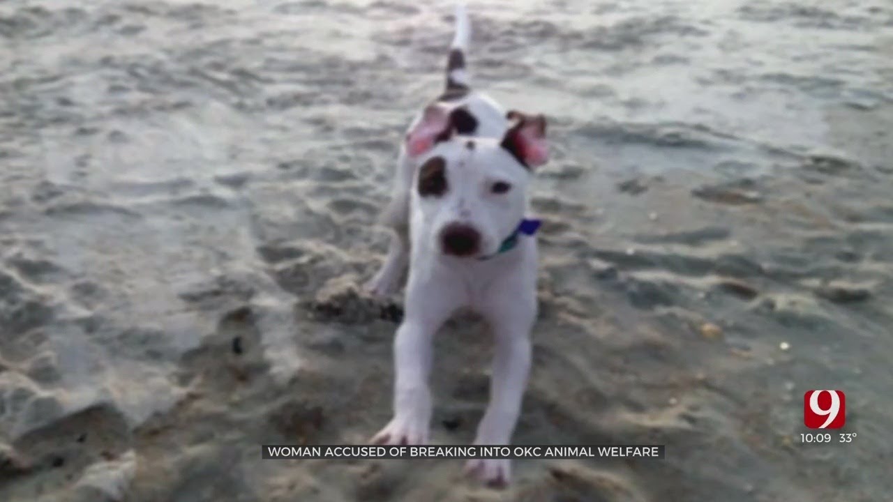 OKC Woman Busts Her Dog Out Of Animal Welfare, Caught Days Later