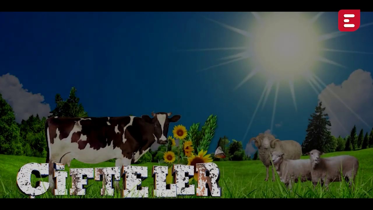 İl&ccedil;elerimiz: &Ccedil;ifteler