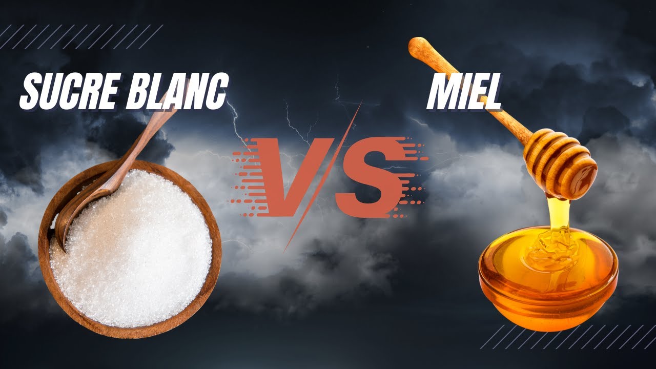 LE SUCRE VS LE MIEL - PDS#2