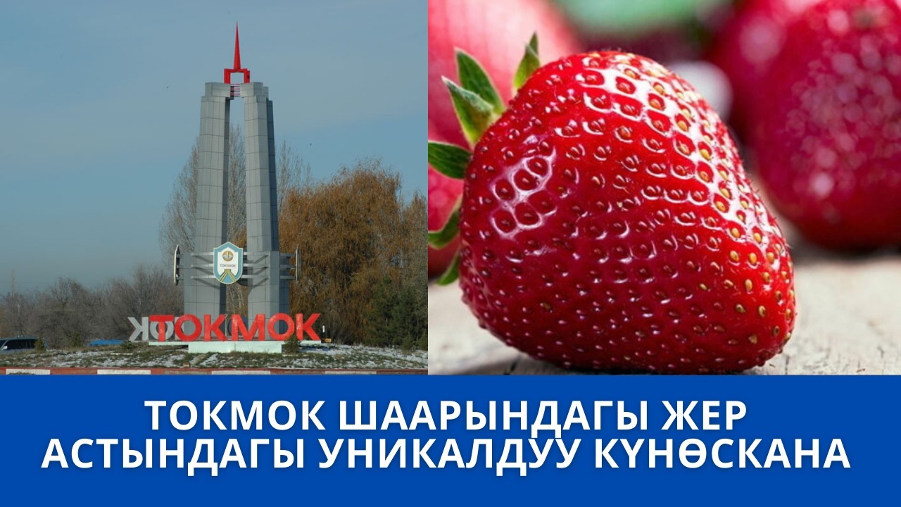 ТОКМОК ШААРЫНДАГЫ ЖЕР АСТЫНДАГЫ УНИКАЛДУУ КҮНӨСКАНА
