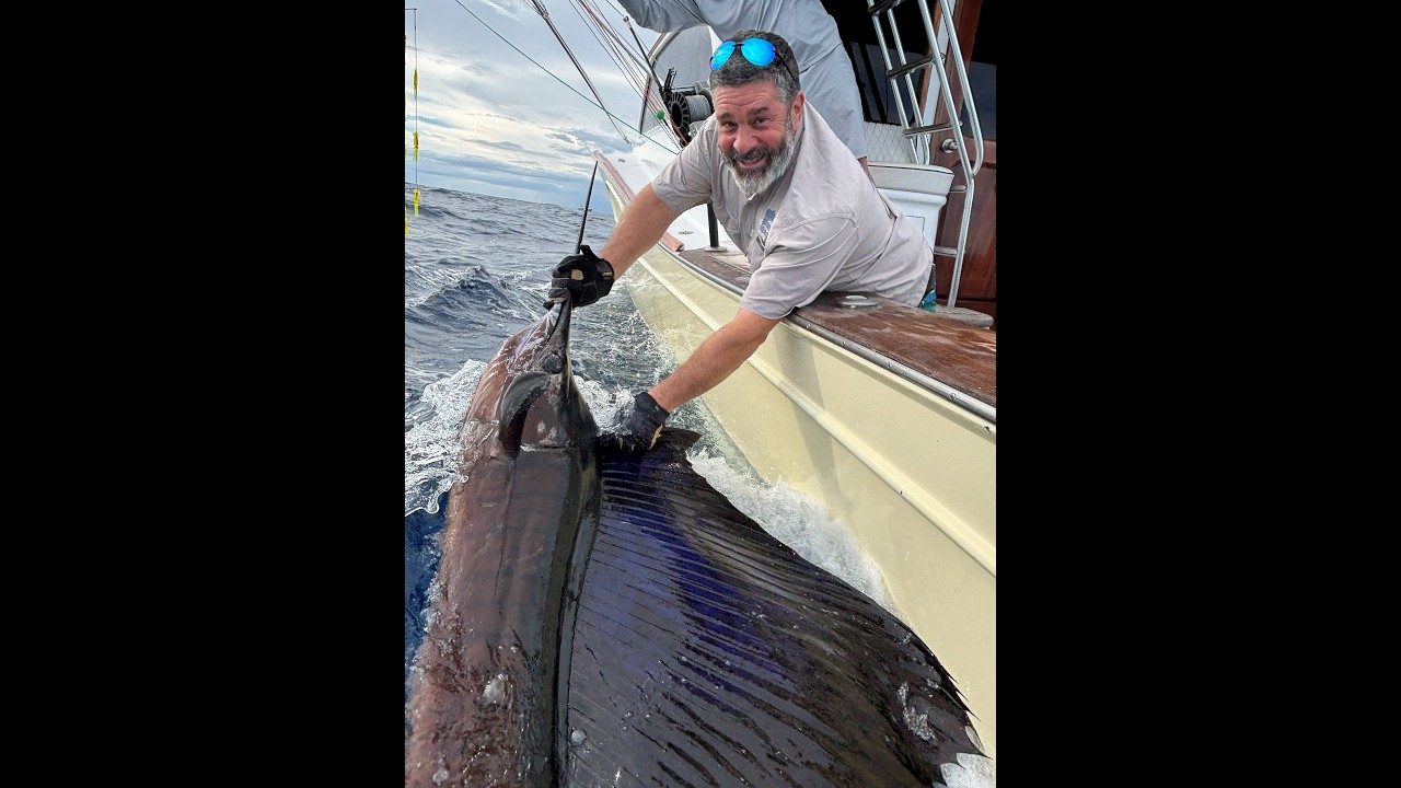 Maverick Sportfishing (Geaux Fly) Costa Rica - Troy's Sailfish