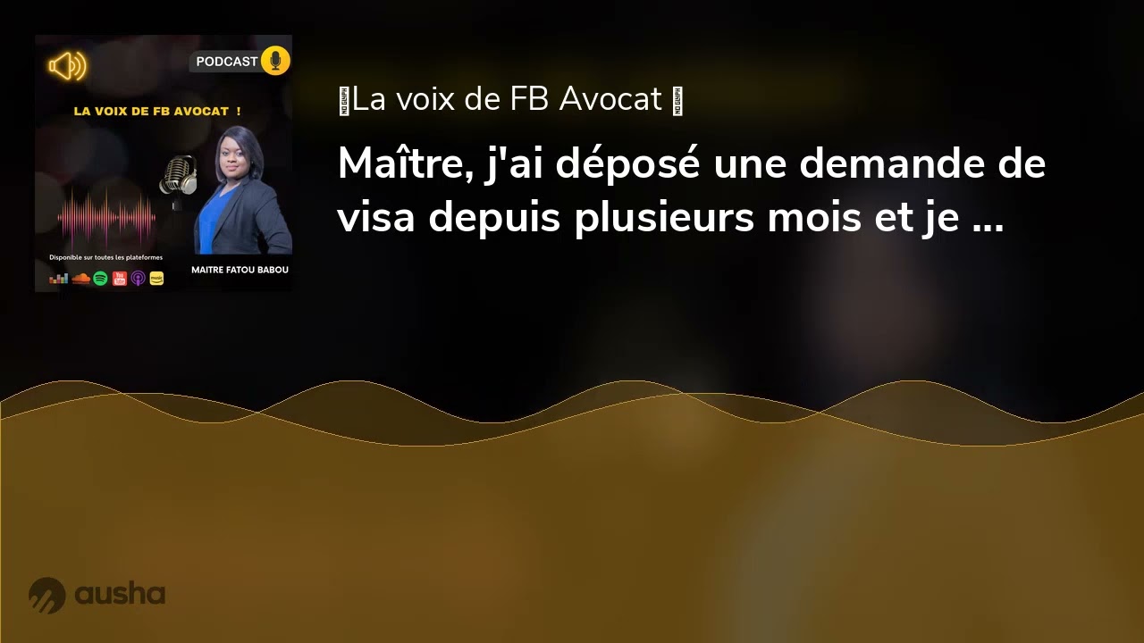 Maître, j'ai déposé une demande de visa depuis plusieurs mois et je n'ai toujours pas eu de réponse.