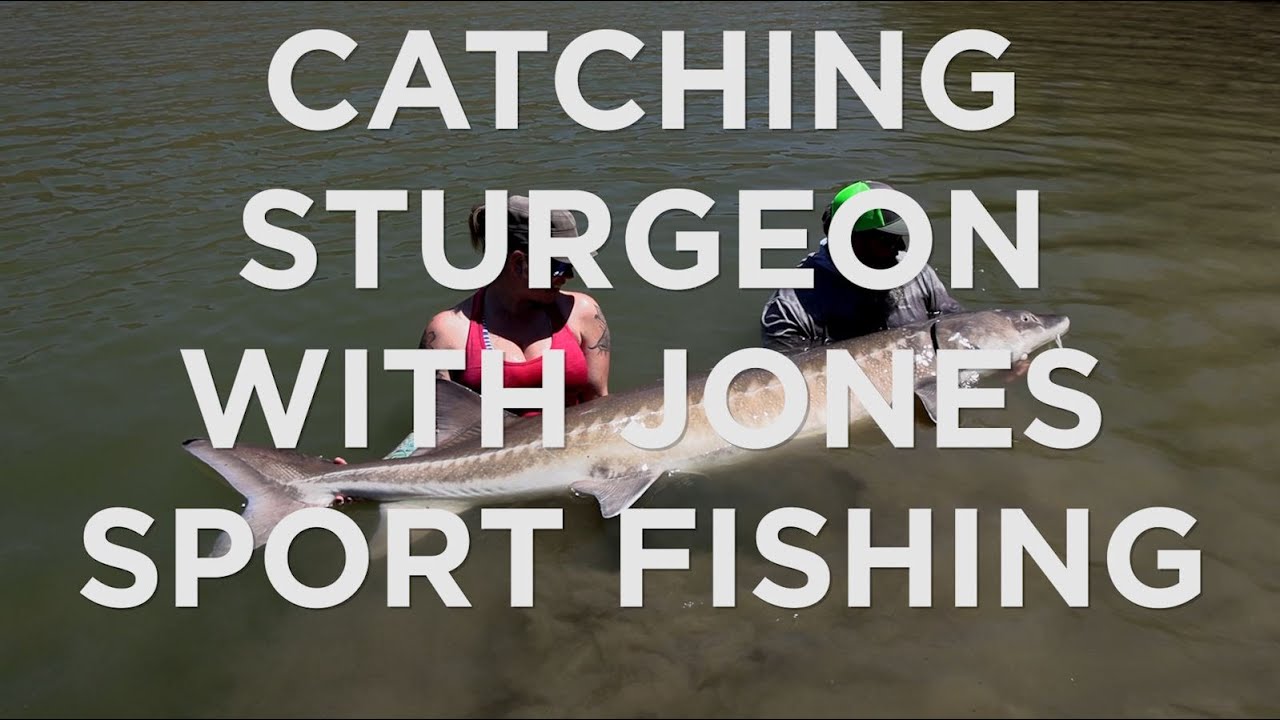 Ловля осетра-монстра с Jones Sport Fishing