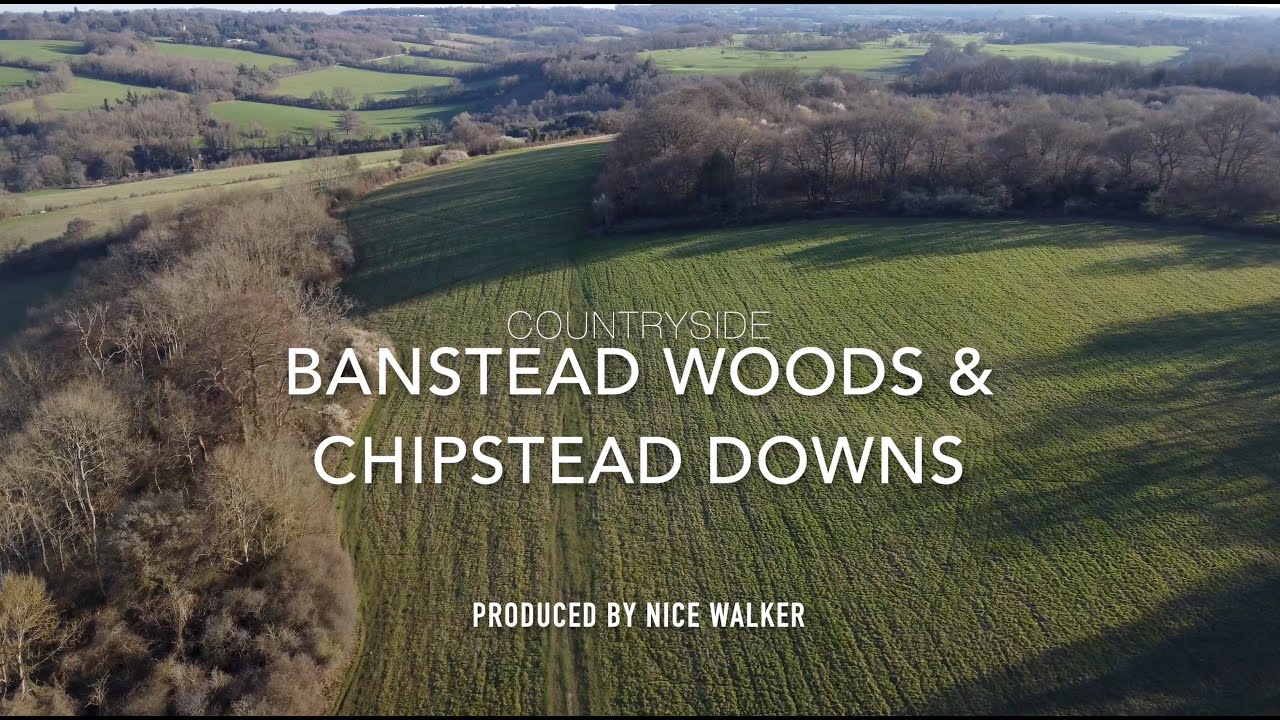 4K Walking on Banstead Woods and Chipstead Downs @April 2023 UK Countryside 英國郊區走走