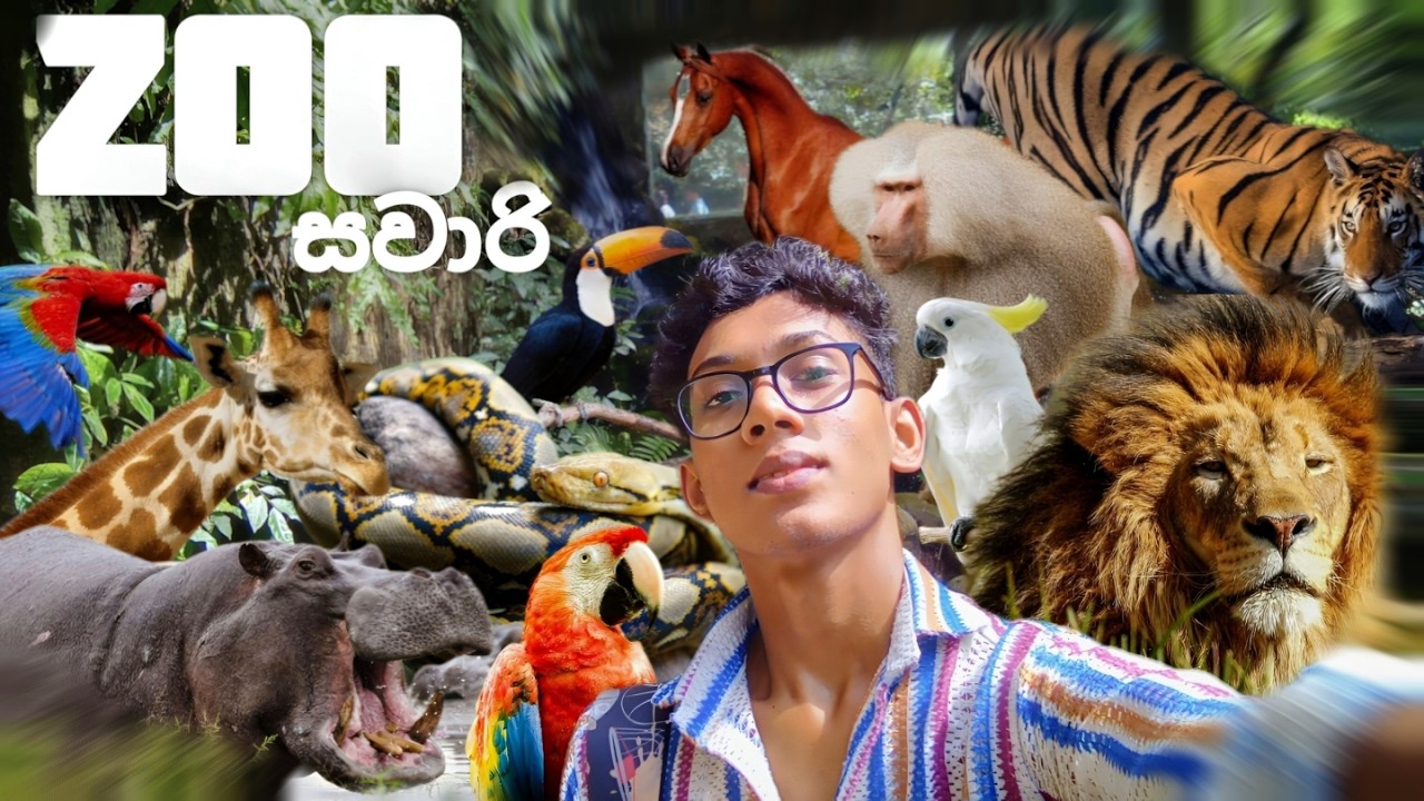 දෙහිවල ZOO එකේ සත්තු බලන්න එන්න | Dehiwala Zoo Vlog | V997