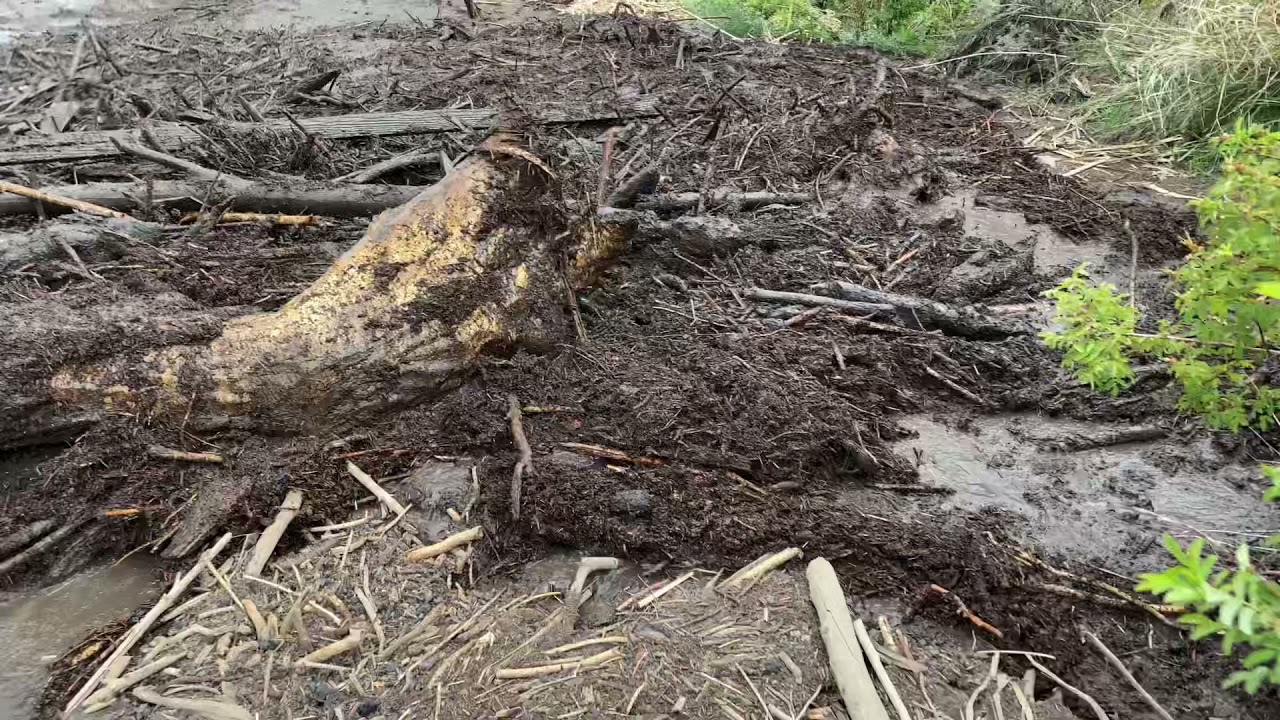 DANGEROUS DEBRIS FLOW with trees and tractor tires in flash flood off Pine Gulch Fire scar Colorado