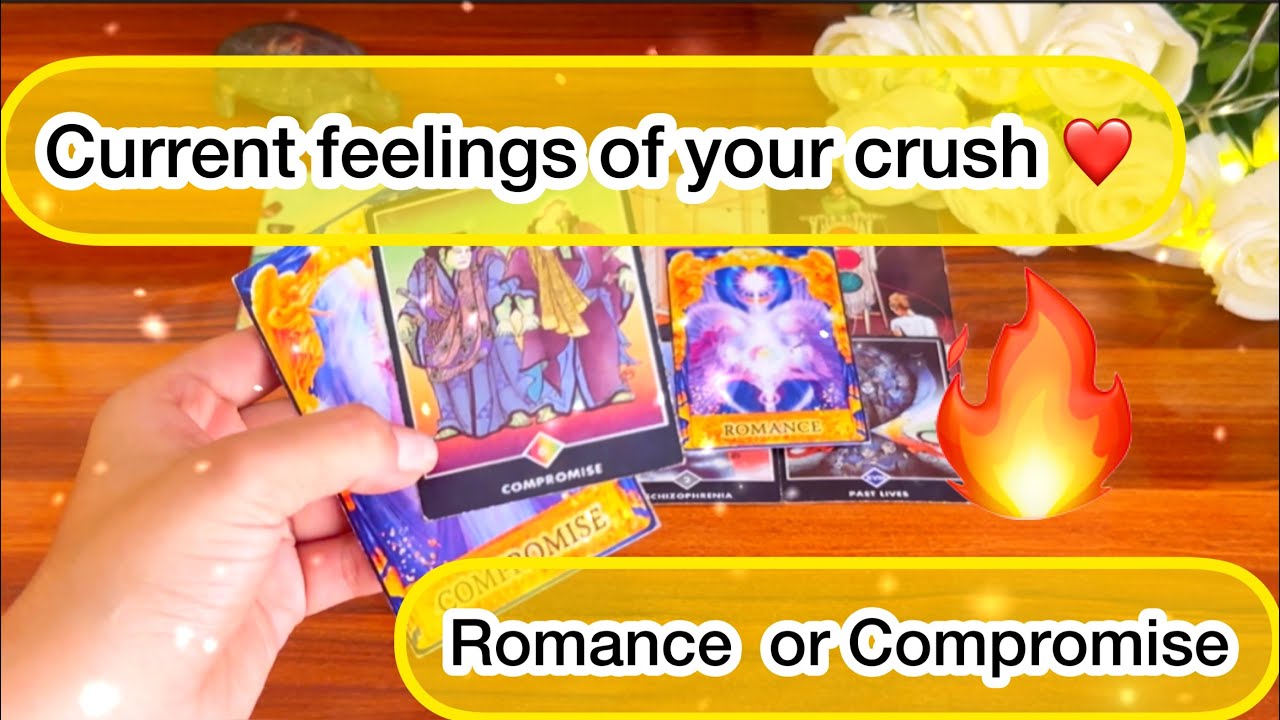 ❤️Current feelings of your crush 💖आपके क्रश कैसा महसूस कर रहे हैं?💛Timeless⏳
