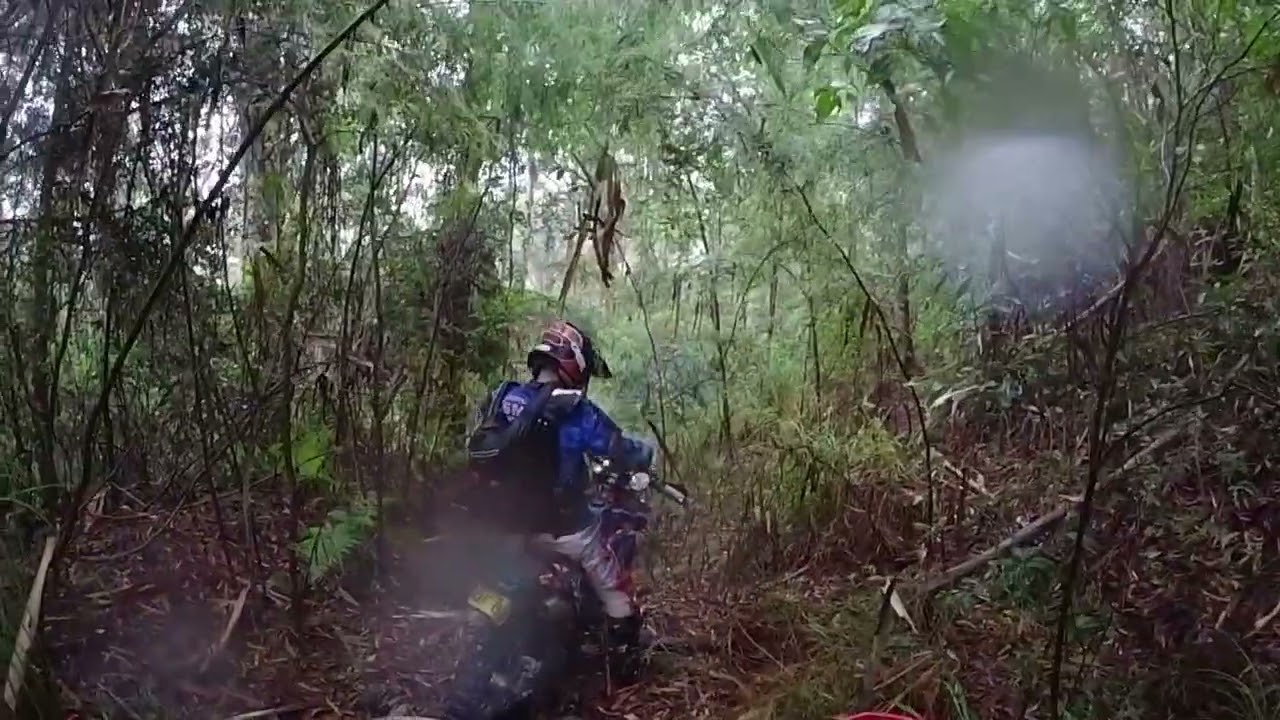 Rainy Day Burn