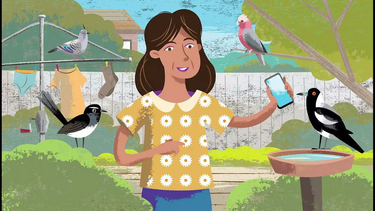 Как отправить опрос о птицах BirdLife Australia с помощью приложения Birdata | Birds in Backyards