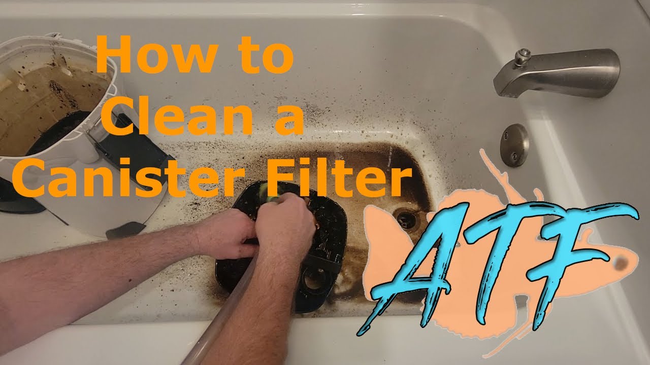 How To Clean An Aquarium Canister Filter (Demo with an Aquatop Canister Filter)