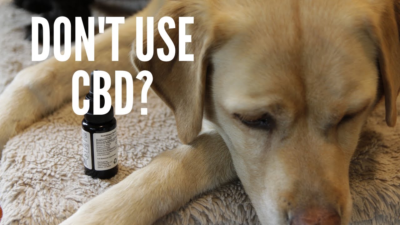 Does CBD Actually Do Anything? Find Out with Dr. Jones!