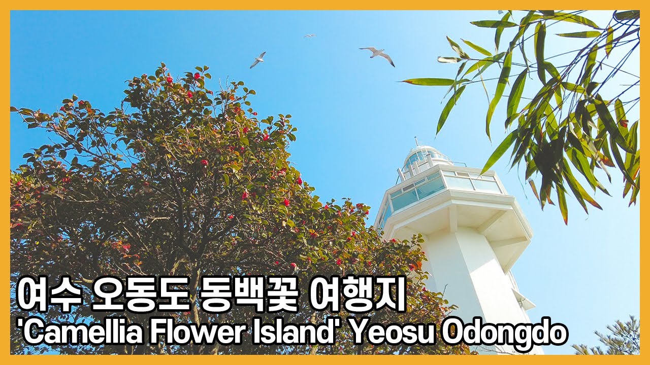 【4K】 Walking in Yeosu Odongdoㅣ여수 오동도 동백꽃 여행지