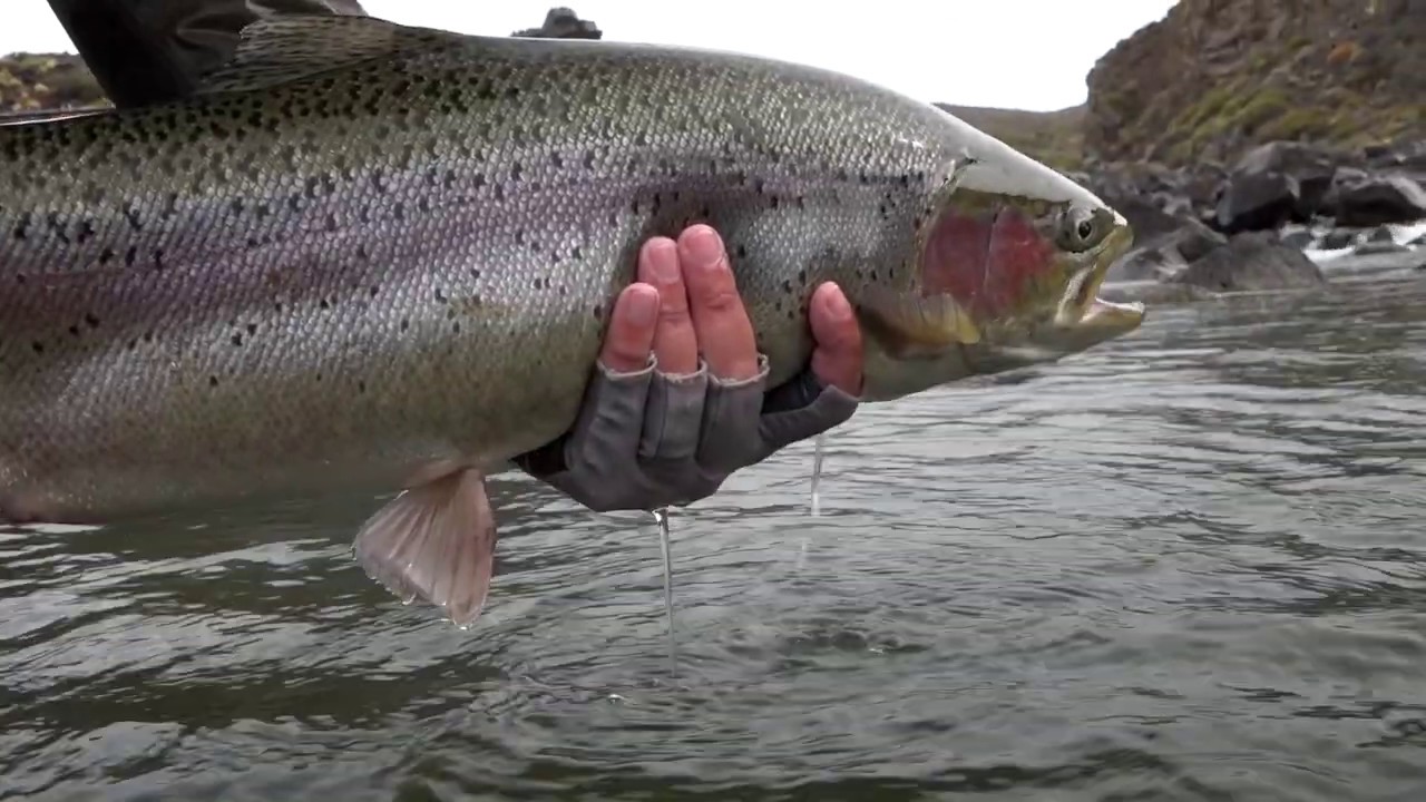 Pesca Rio Barrancoso Strobel 2 de 3 Aguas Arriba ESPN Argentina para Latinoamérica T:10 E: 2 2017