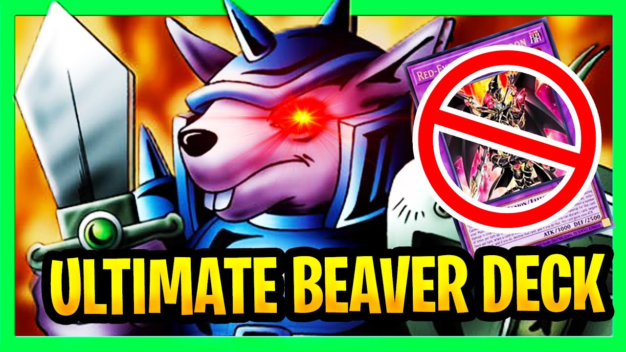 YuGiOh Meme Troll deck Beaver Warrior Deck 2021 ULTIMATE BEAVER