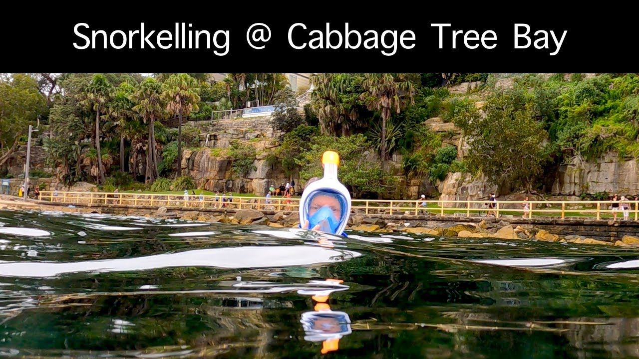 Snorkelling at Cabbage Tree Bay Aquatic Reserve #manly