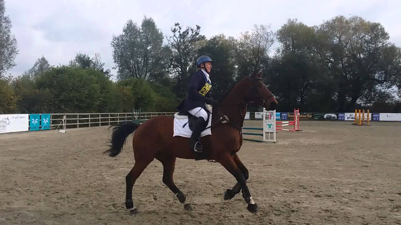 Bam - Littleton Manor BE80 Show Jumping 10th Oct 2015