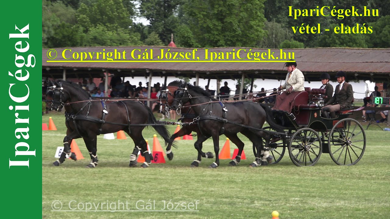 Fogathajtás, HORSE FOUR-IN-HAND 2*, Vecsés, 2022., Akadályhajtás, 4K, sv4K220605-C030-32-230917