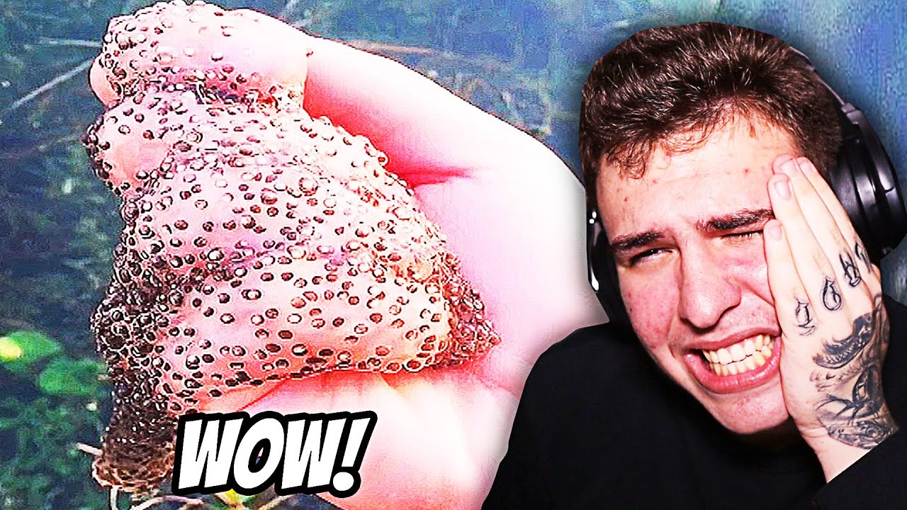 Dacă Spui WOW.. ÎȚI DAI O PALMĂ #2 ! *Foarte Satisfăcător*