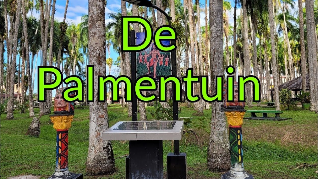 Suriname:De Palmentuin#The Palm garden