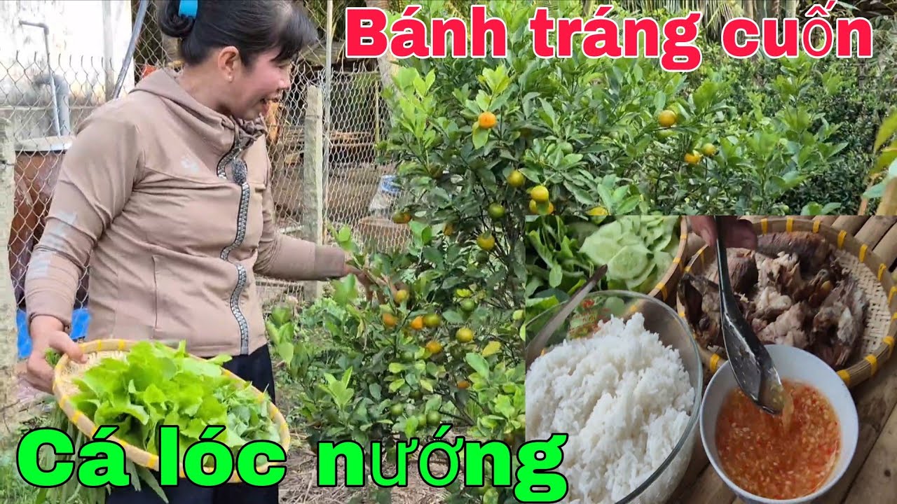 Bánh tráng cuốn cá lóc  nướng ăn kèm rau vườn ngon tuyệt. Cơm Quê 