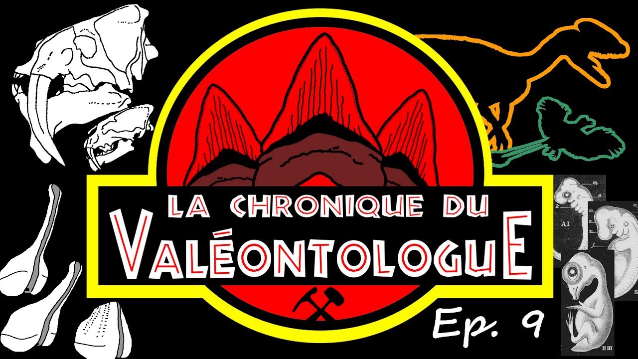 LCDV 09 - Les hétérochronies de développement