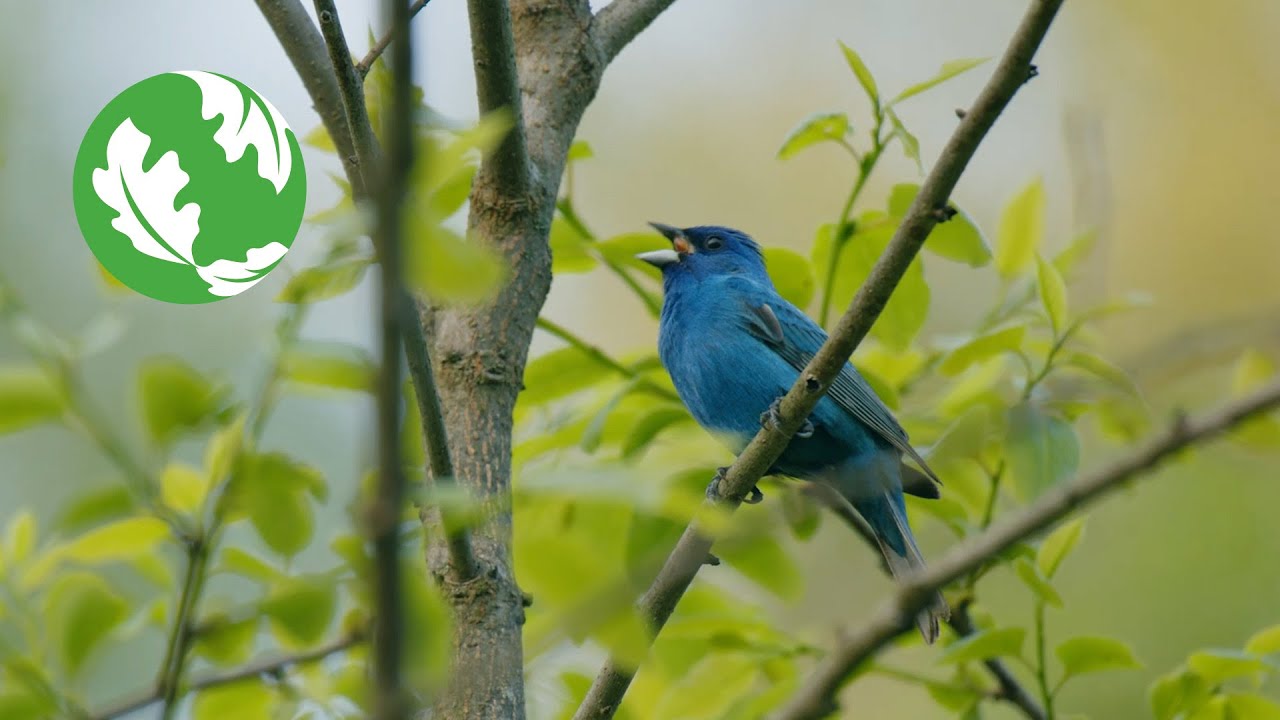 Patoka River Protection Project