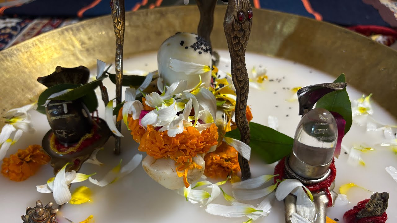 शिवरात्रि पूजन चार पहर पूजन हर हर महादेव #acharyaashishsemwal #astrology #bestastrologer2026 