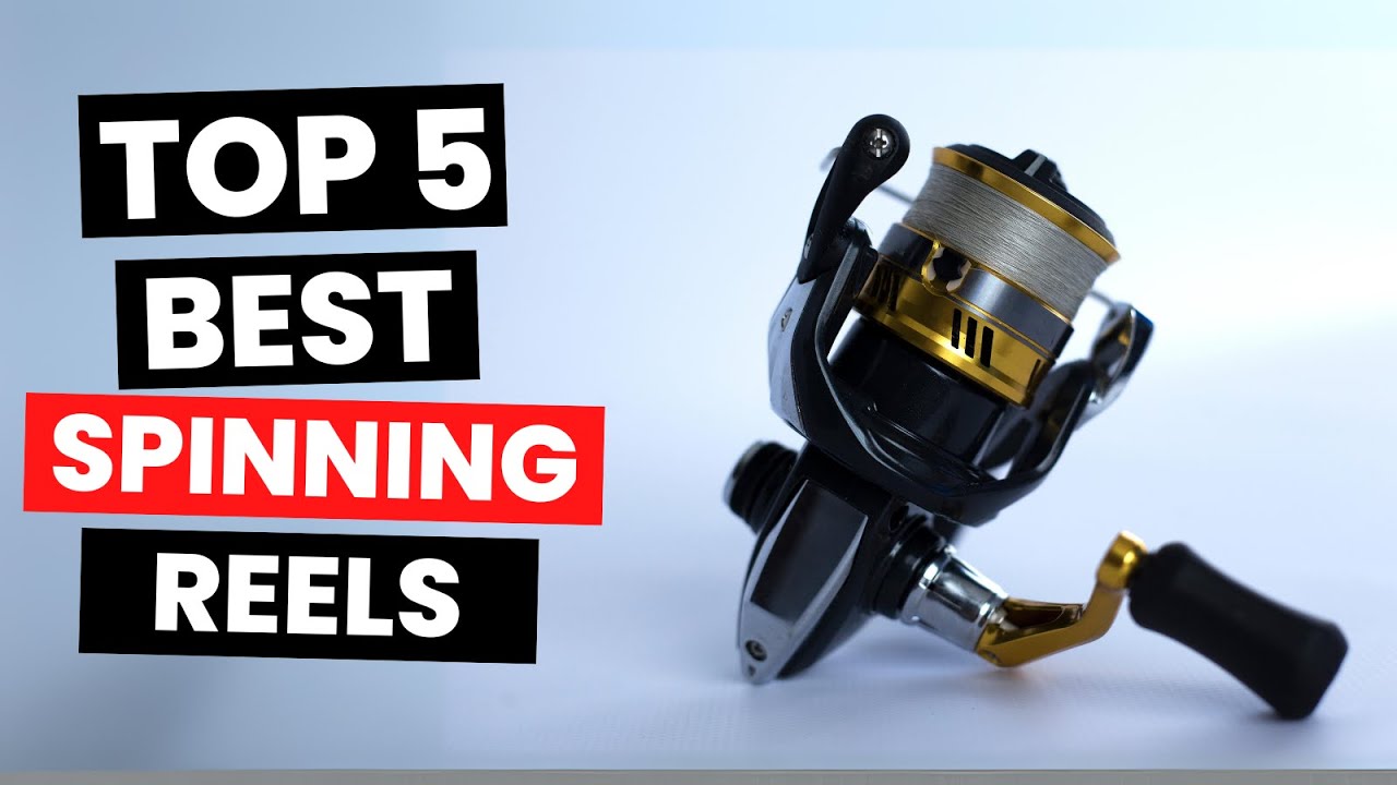 Top 5: Best Spinning Reels (2025)