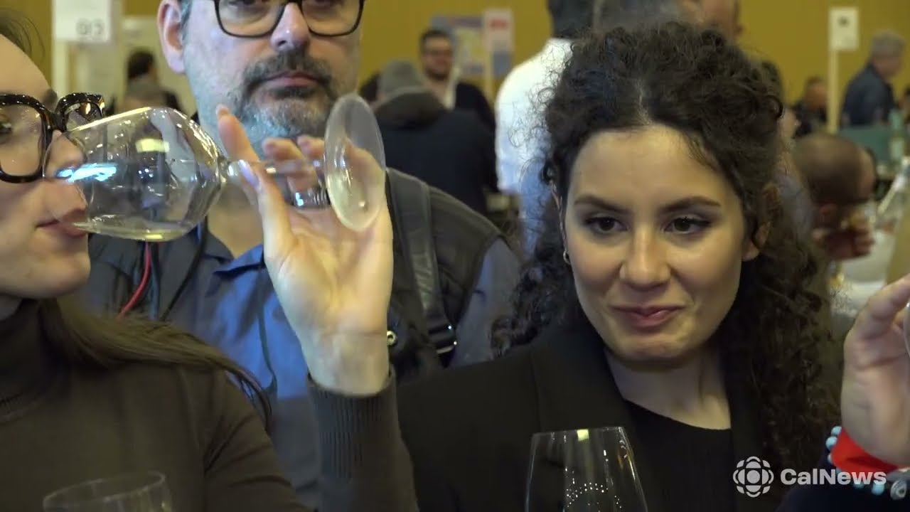 Paestum Wine Fest Business: conclusa la XV edizione tra B2B e nuove rotte del vino.