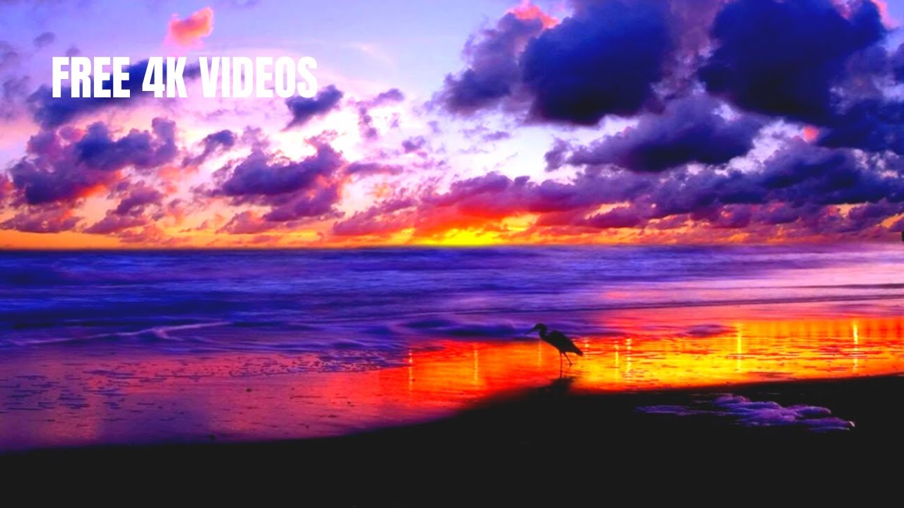 BEST 2O22 SUNSET BEACH STOCK FOOTAGE {COPYRIGHT FREE 4K/HD VIDEOS}
