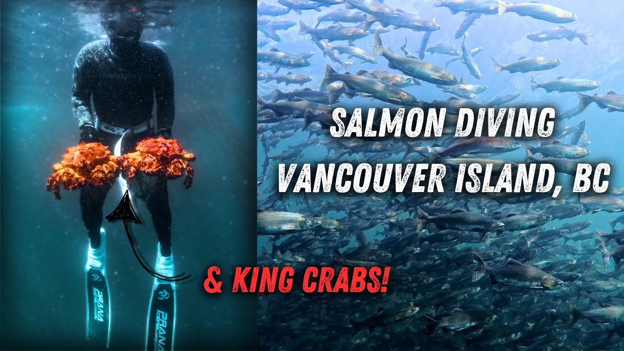 Salmon Snorkeling - The Ultimate Vancouver Island Adventure | PNW Samson