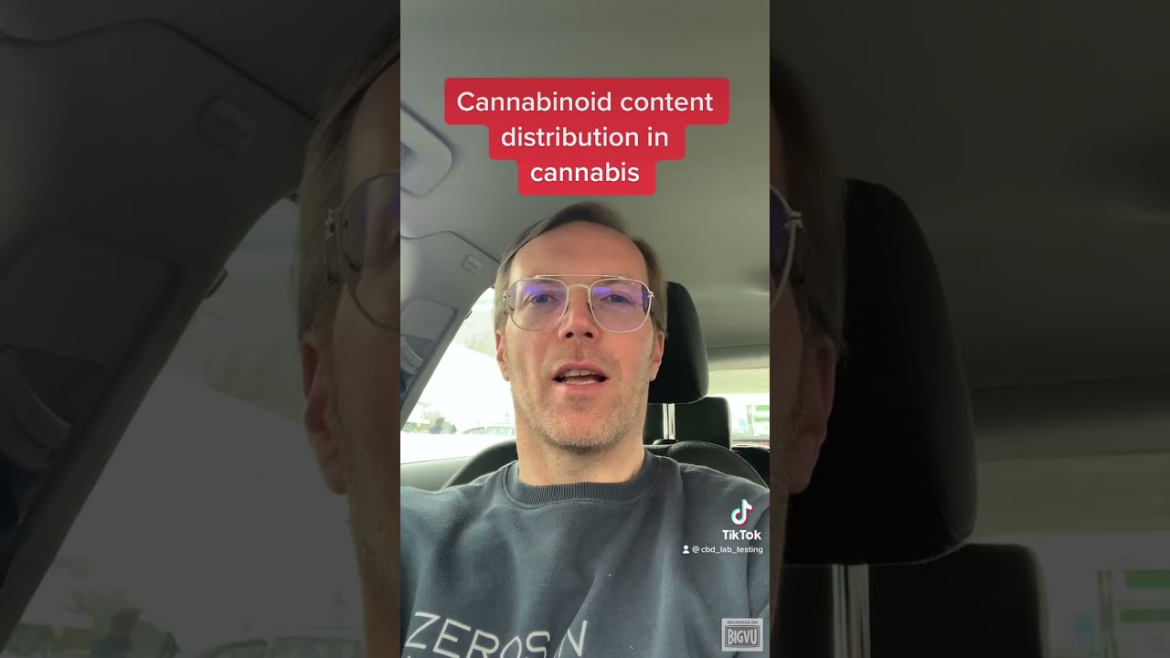 Cannabinoid content distribution in cannabis #cbd #hemp #cannabinoids