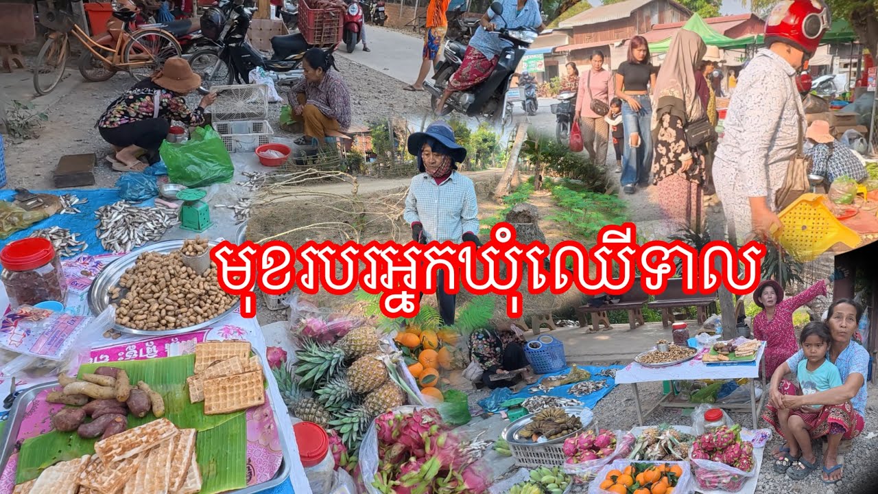 ដល់រដូវដាំដំណាំមាត់ស្ទឹងហេីយ​ បន្លែចំរុះ​ កាត់ស្អំបន្ទាន់មុនចូលឆ្នាំចិន​ មិនចឹងគេលេងទិញ​ 