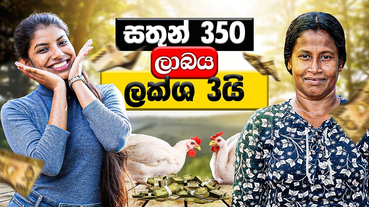 දවසට රුපියල් 10,000ක් බ්‍රොයිලර් කුකුළන් හදලා හොයපු දඹුල්ල ටෙක්ලා මහත්මිගේ කතාව  | Milmolac