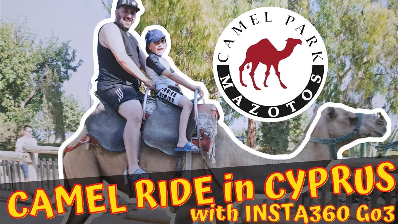 Camel Ride Adventure at Camel Park Mazotos | Fun Family Day Out in Cyprus!
