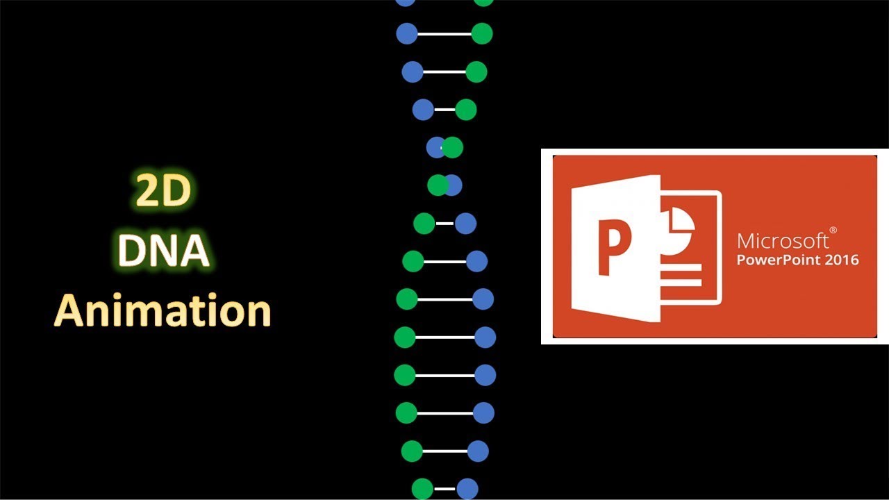 Пошаговое руководство: создание 2D-анимации ДНК в PowerPoint