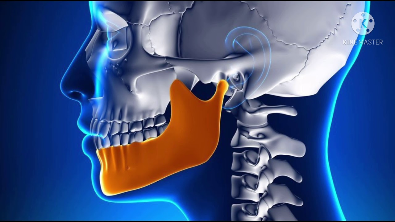 MOVIMIENTOS MANDIBULARES UQI  (Cinemática Mandíbular 🦷)