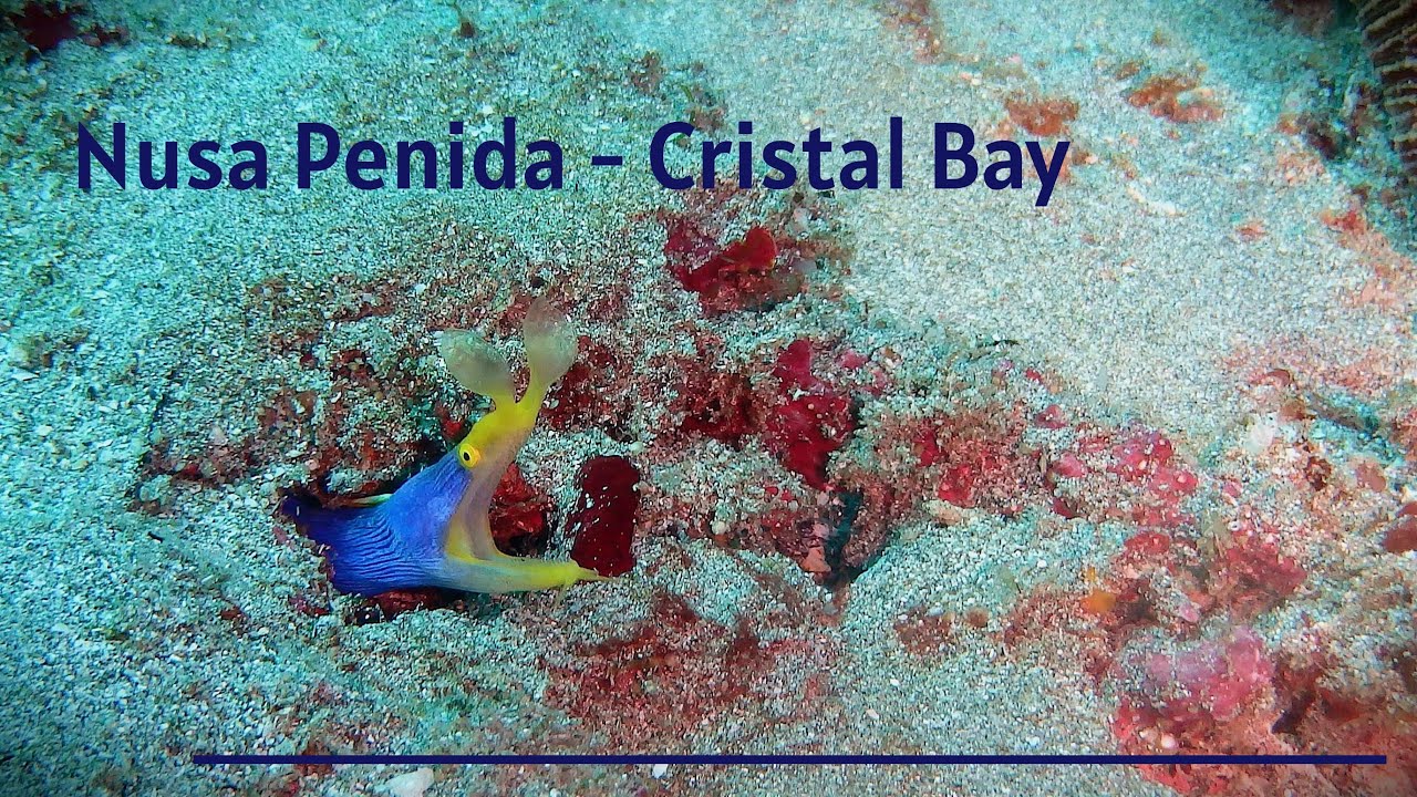 Nusa Penida - Cristal Bay