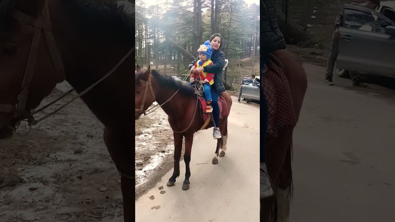 Cute Baby Enjoy Horse Ride | Cute Davy | Hill Station | Masti Time #cutedavy #viral #shorts