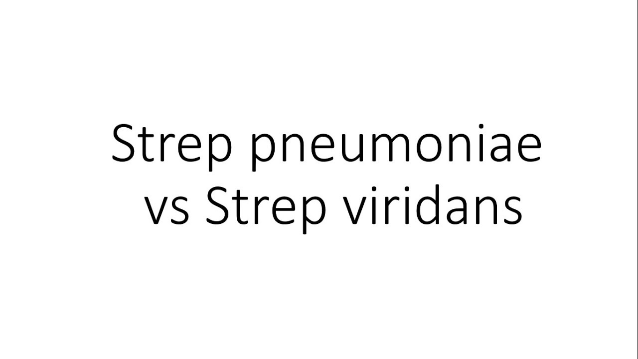 Streptococcus pneumoniae vs Streptococcus viridans - Microbiology