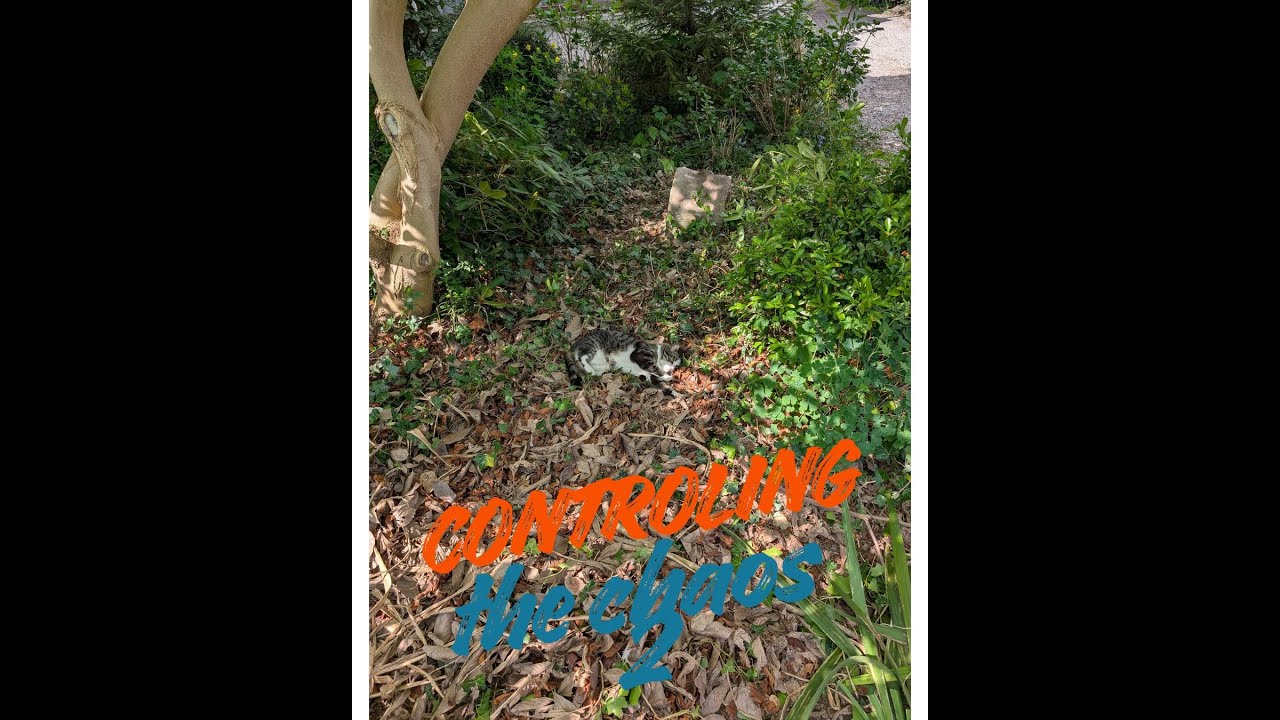 Controling the chaos 2