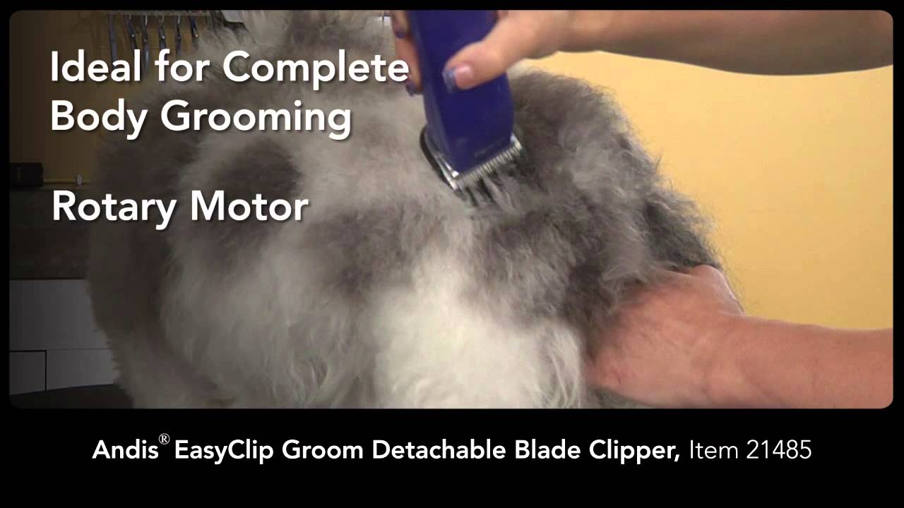 Andis® EasyClip Groom Detatchable Blade Clipper (#21485)